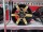 La Chanti Alufelge LC-OF16 12x20 schwarz gold
