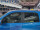 Windabweiser Seitenscheiben Putco Element 4er Set steckbar Dodge Ram Gen.4 Crew Cab (lange Kabine) 2009-2024